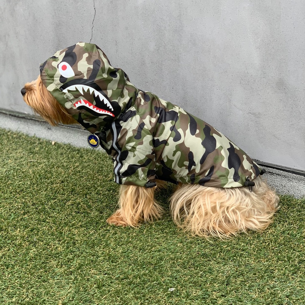Luxury Dog Clothing & Accessories